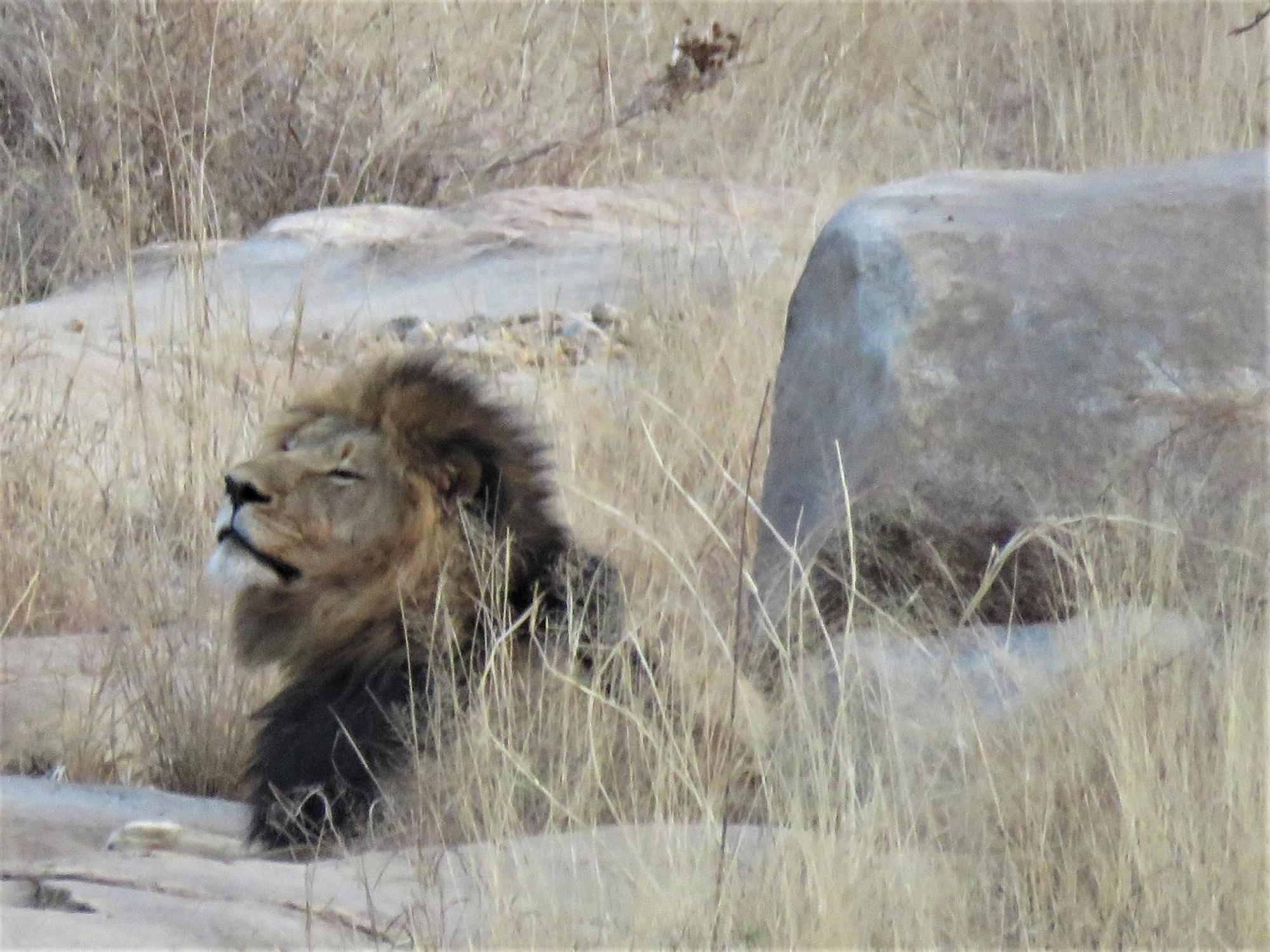 Sable Creek Safari Lodge Tzaneen Εξωτερικό φωτογραφία
