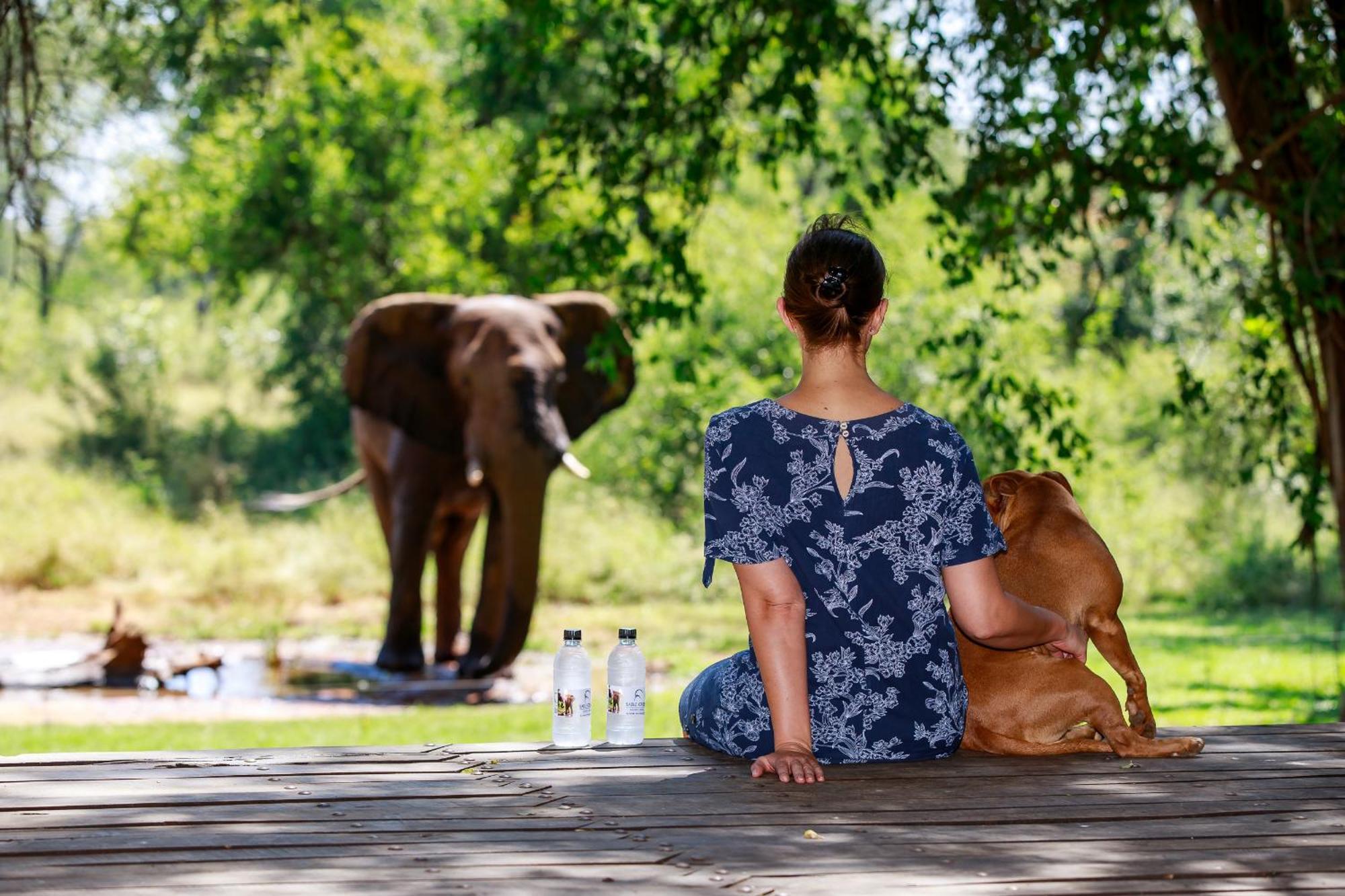 Sable Creek Safari Lodge Tzaneen Εξωτερικό φωτογραφία