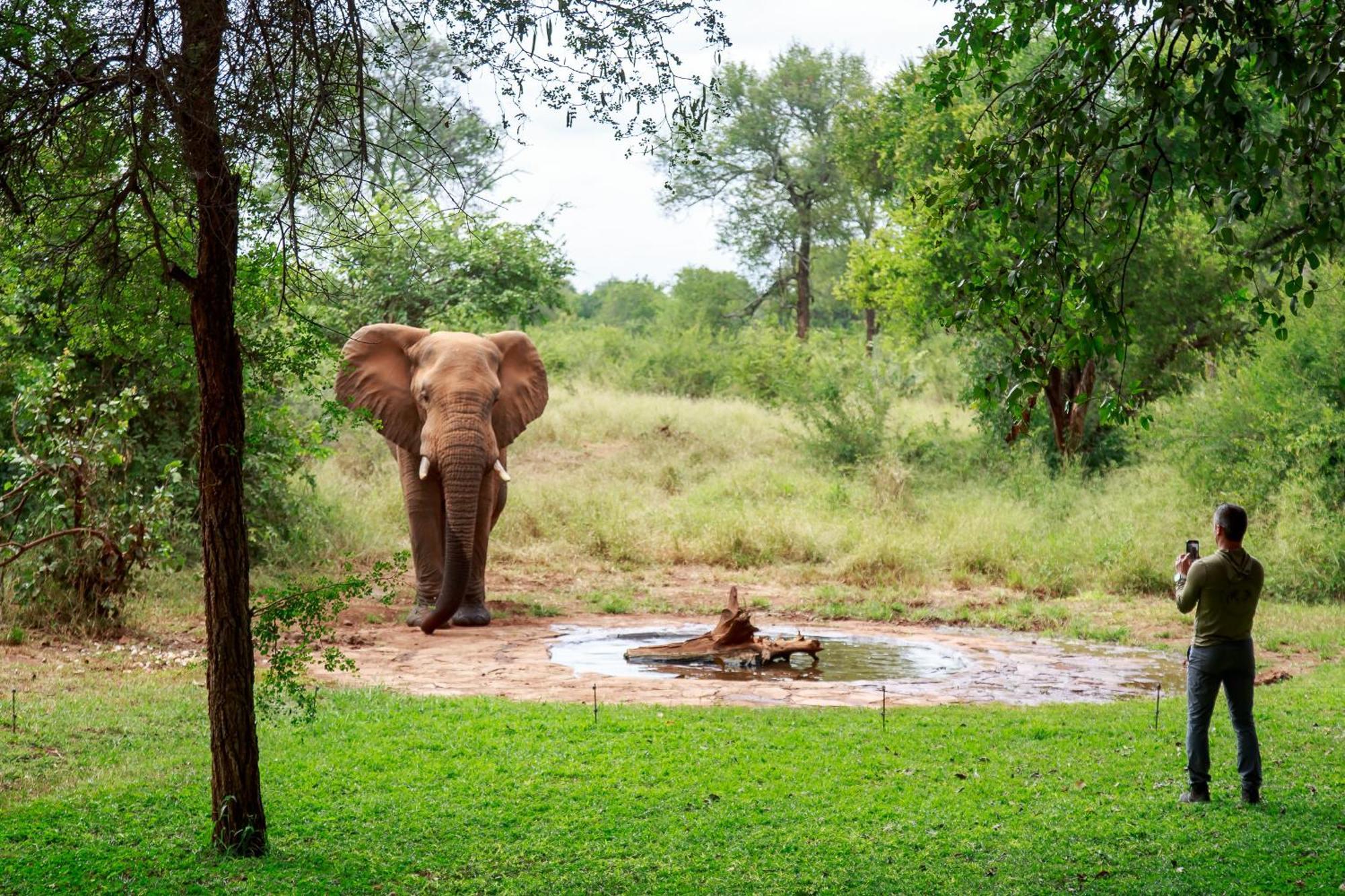 Sable Creek Safari Lodge Tzaneen Εξωτερικό φωτογραφία